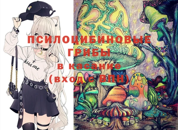 гидропоника Арсеньев